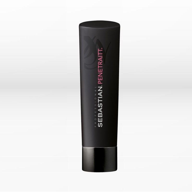 sebastian professional penetraitt shampoo